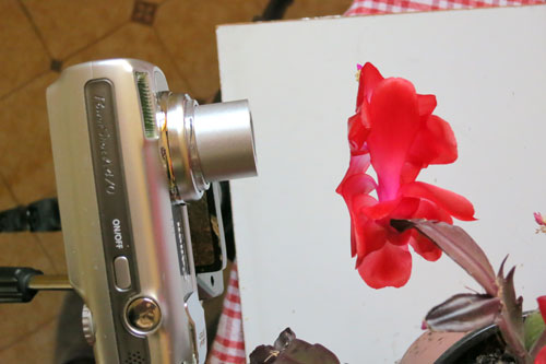 close-up with acompact camera