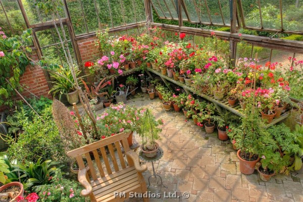 in the greenhouse