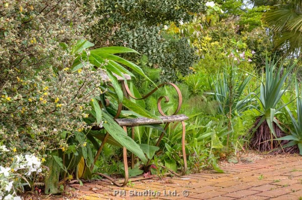 chair in the garden