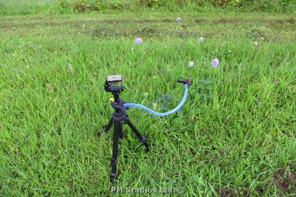 plant clamp