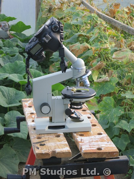 microscope setup