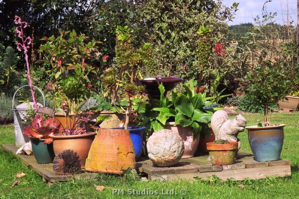 potted plants