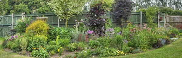 Flower bed panorama
