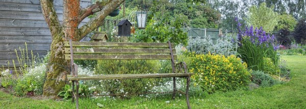 bench by pond