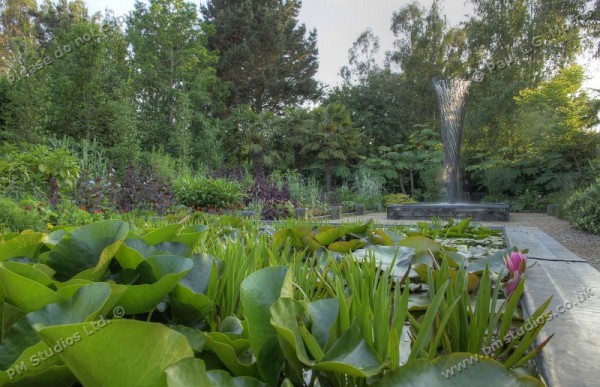 pond in the exotic garden