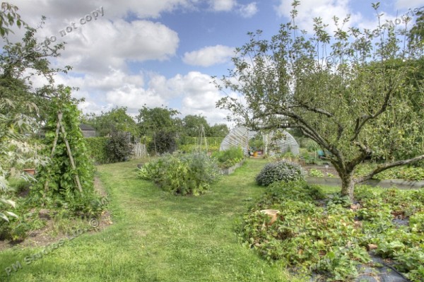 Vegetable plot