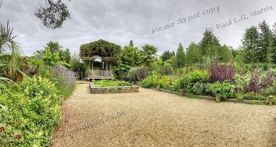 exotic garden panorama