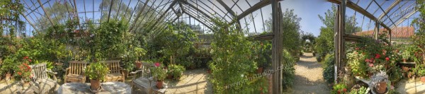 360ddegree view inside the main greenhouse