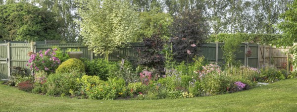 panoramic view of flower bed
