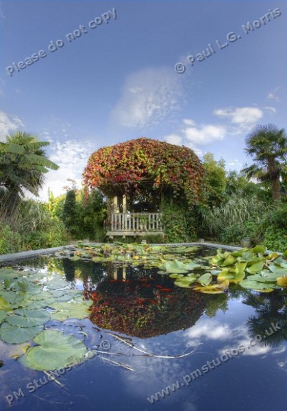 pond in exotic garden - portrait