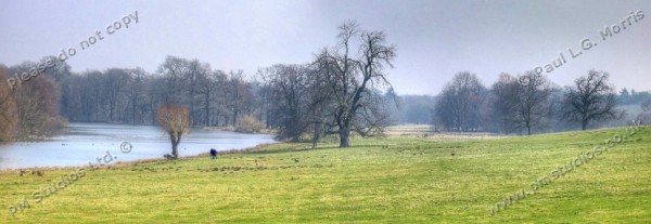 Kedelston hall river view