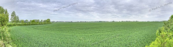 mid may pano