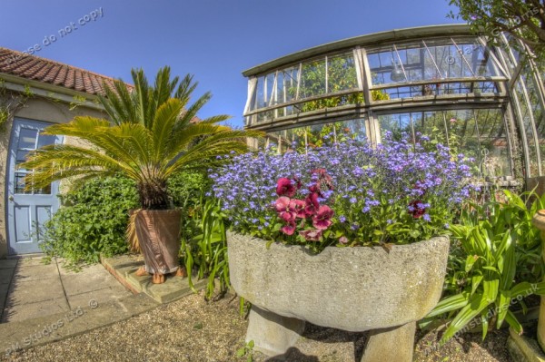 in the glasshouse garden