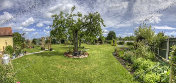 garden from back door