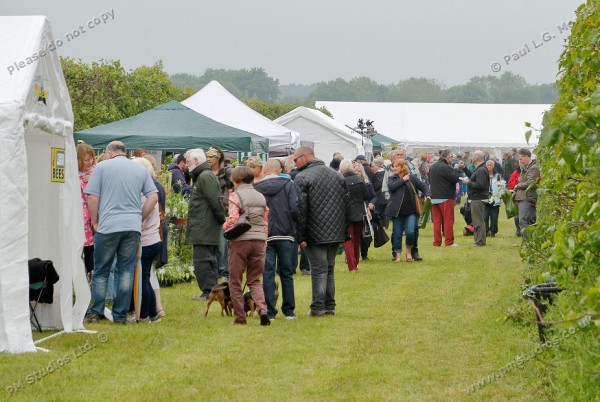 Plant fair day: plenty of visitors