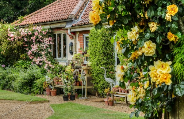 glasshouse garden