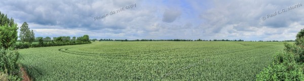 mid june pano