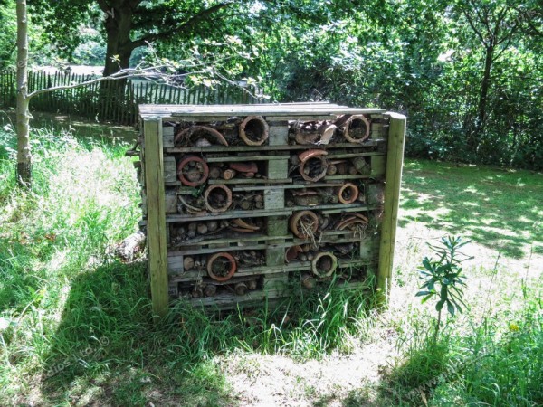 bug hotel