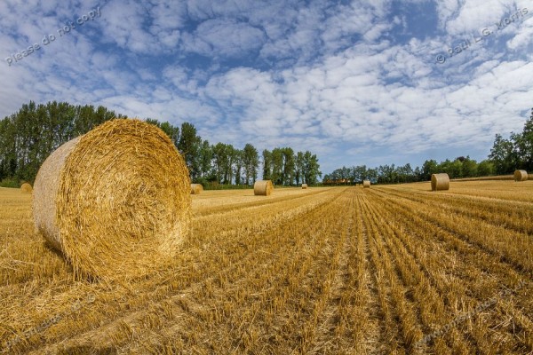 field view - 1.