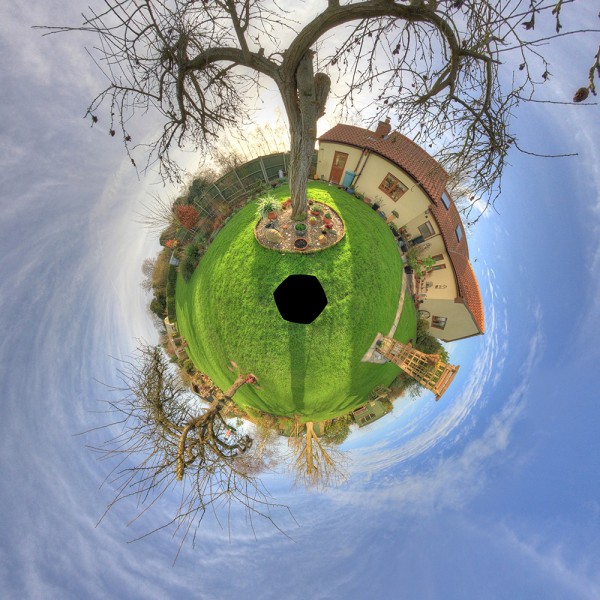 Little Planet Tree - V1