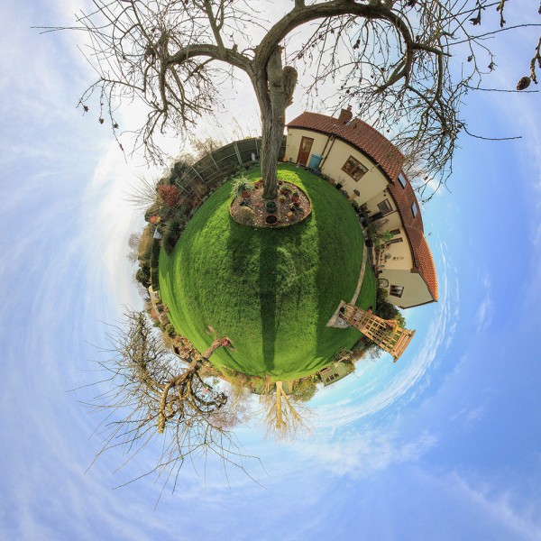 Little Planet Tree - V3