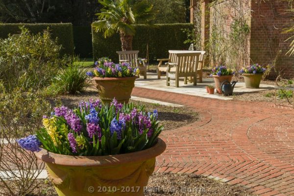 East Ruston Old Vicarage Gardens