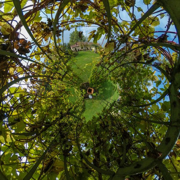 arbour little planet