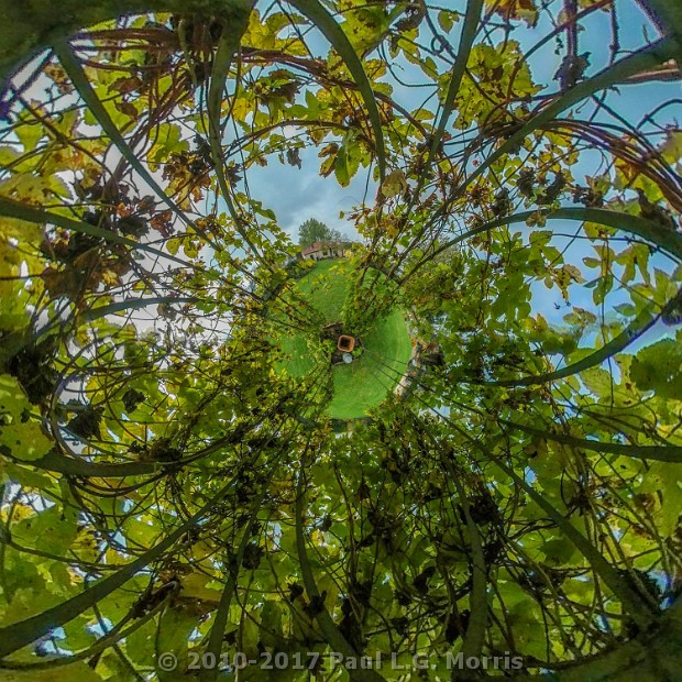 inside the arbour