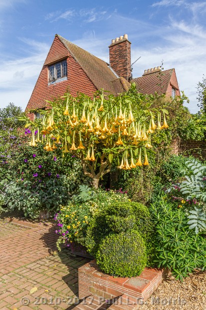 house from dutch garden