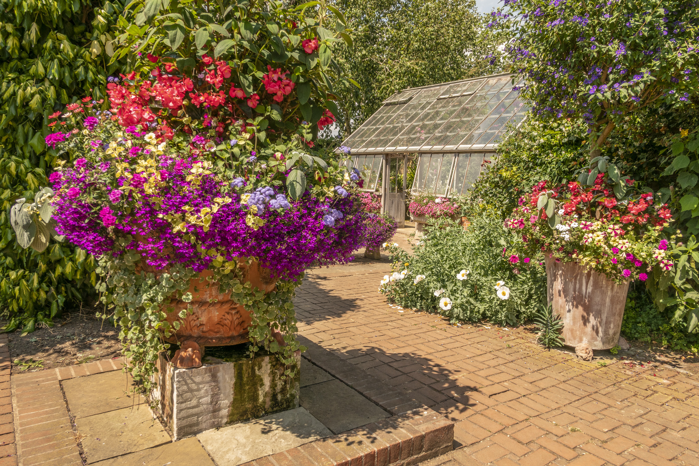 garden at EROV