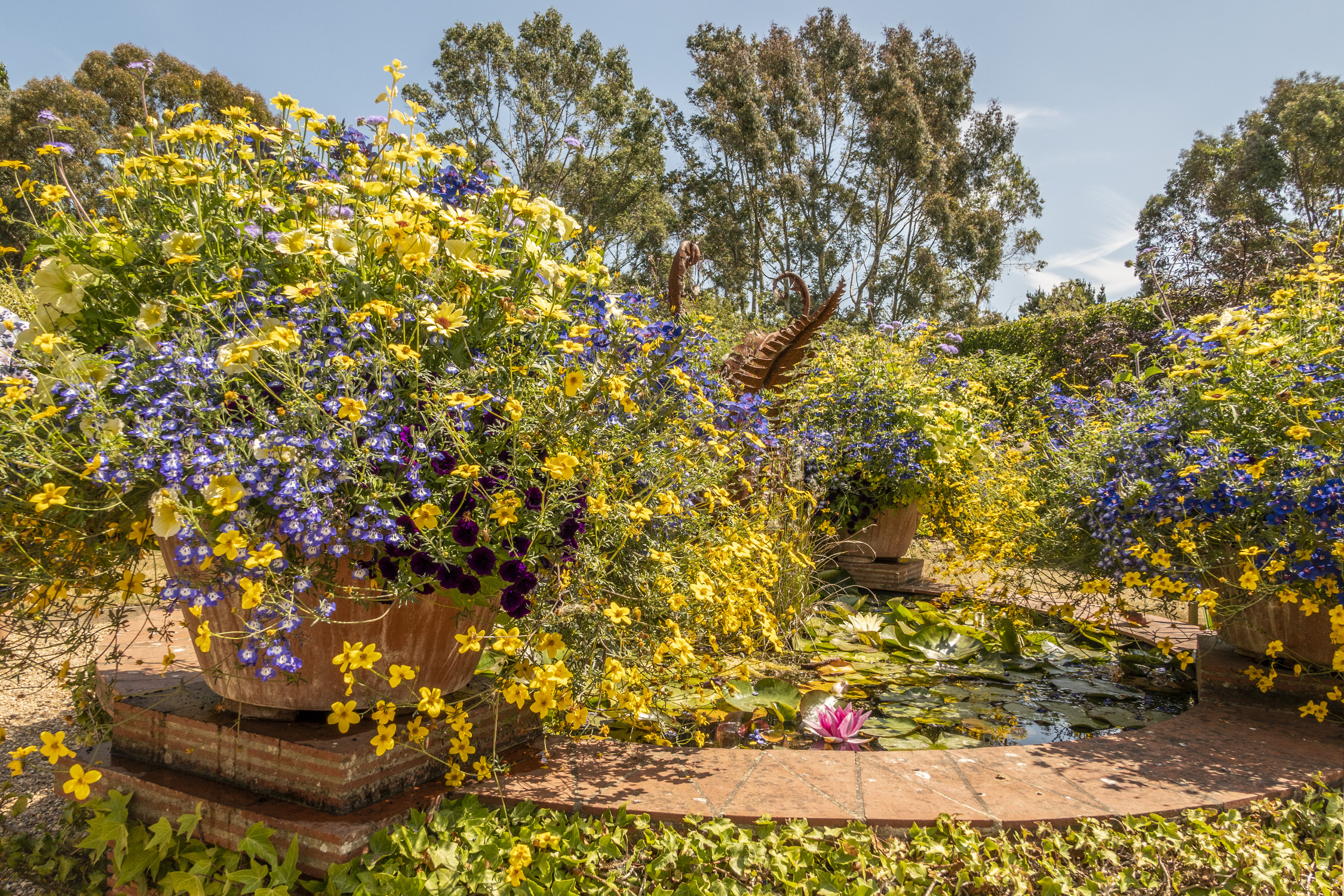 garden at EROV