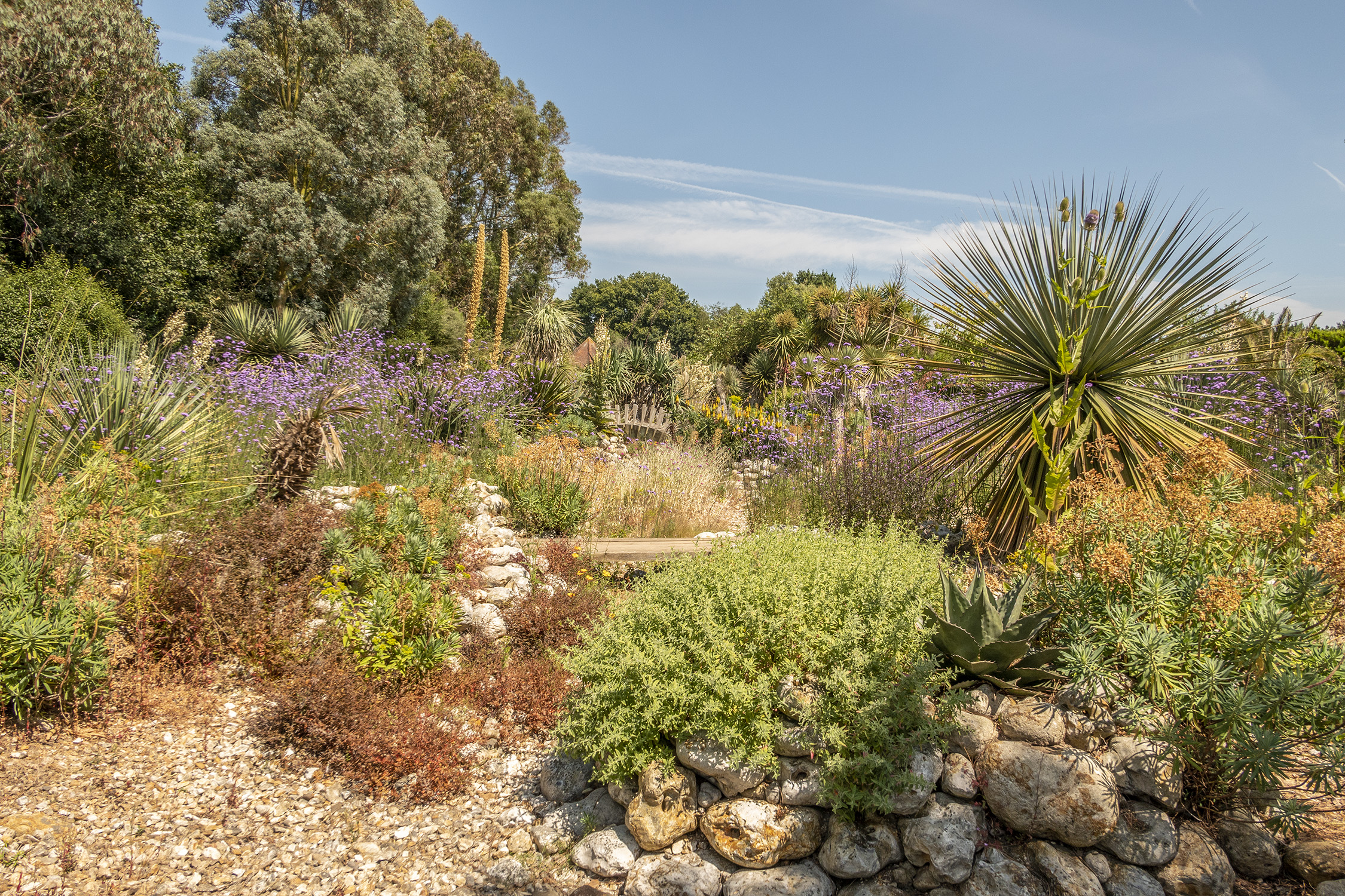 garden at EROV