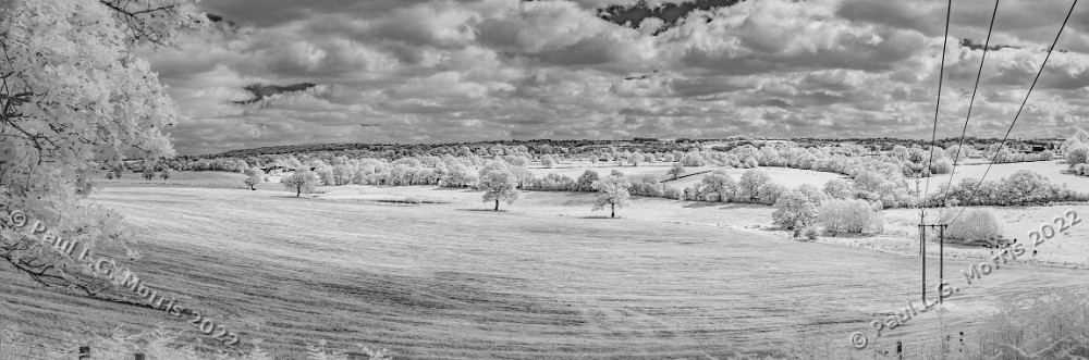 Downs Bank National Trust in Infra-red