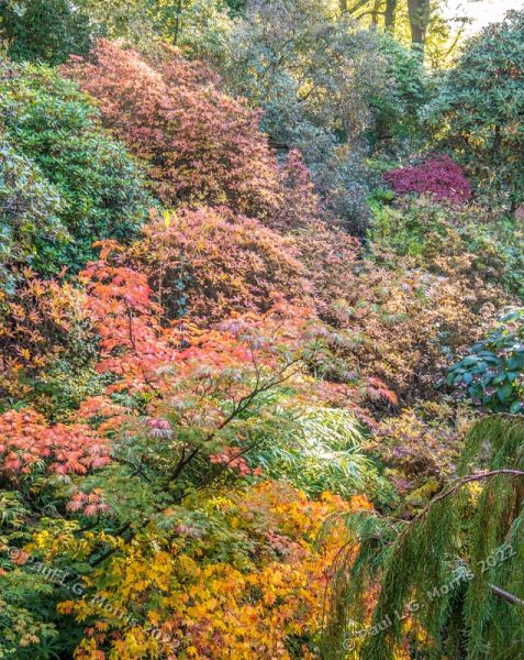 Colour view into the former gravel pit