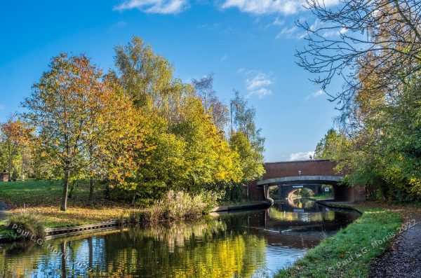 Mid-autumn view of a bridge across the Trent and Mersey Canal - Colour version