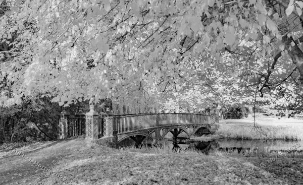 Infra-red view of the bridge