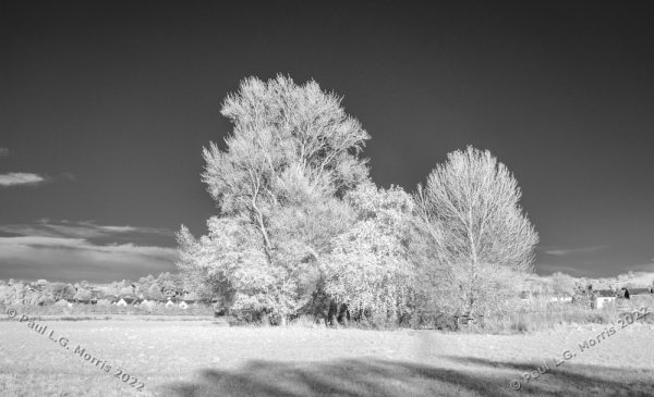 Infra-red view