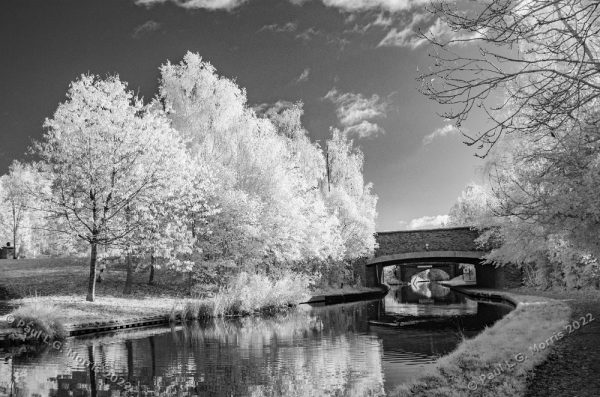 Mid-autumn view of a bridge across the Trent and Mersey Canal - Infra-red version