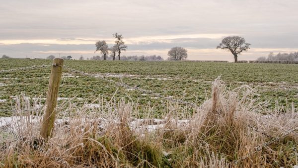View across a field after a frost in colour