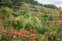 E17_4397r1 28th September 2018 at EROV: In the Walled Garden