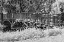 S22_0817r1x3j1 10th May 2022: Shugborough NT in 720mm IR on 55mm lens