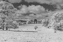 S22_0841r1x2j1 10th May 2022: Shugborough NT in 720mm IR on 55mm lens