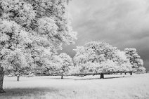 S22_1506r1 10th June 2022: Stone Common Plot: IR at 850nm: 24mm lens