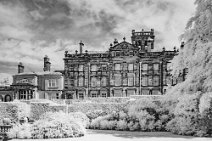 S22_1697r1 17th June 2022: Biddulph Grange Gardens NT: 850nm IR 24mm lens