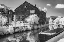 S22_1745r1 22nd June 2022: Walk south along the Trent and Mersey canal from Westport Lake. Monochrome IR, 24mm, 850nm