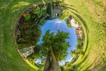 E16_3281r-t-x18-t-j1-w August 2016: An 'Inverted Little Planet': Up close to a poplar tree on a sunny day