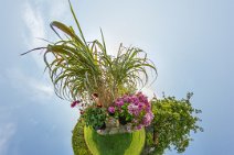 E16_5189r-t-x18-t-ps-j-lp-w Late August 2016: In our Norfolk smallholding: A 'Little Planet' taken of a stone circle feature in the garden. This is from a lower viewpoint than the previous...