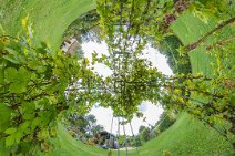 MIS_20170919_113715_422070500_lpissj1w Miisphere test on 2017_09_19: In the garden: Inside an arbour, an inverted little planet