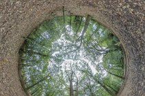 MIS_20170922_115946_673673562_lpissj1w 22nd September 2012: Gawthorpe Hall NT: Inverted Little Planet in the woods