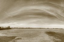 E14_7168x18p2vr Mid October 2014. A field near Aldeby, Norfolk after being replanted. Sepia version